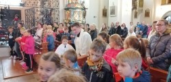 Image7 Image7