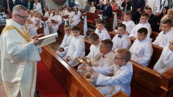 image6 image6
