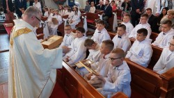 image7 image7