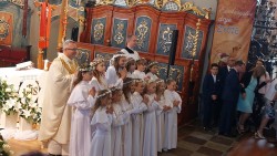 image46 image46