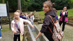 Image10 Image10