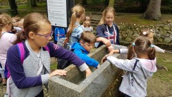 Image11 Image11