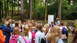 Image8 Image8