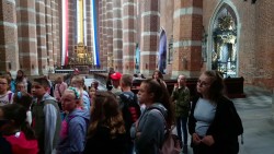Image47 Image47