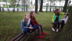 Image84 Image84