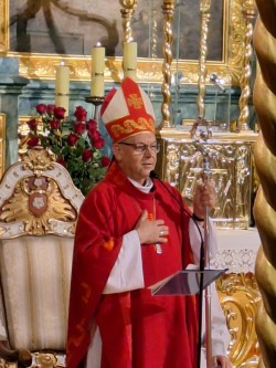image1 image1