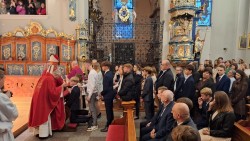 image11 image11