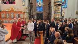 image12 image12